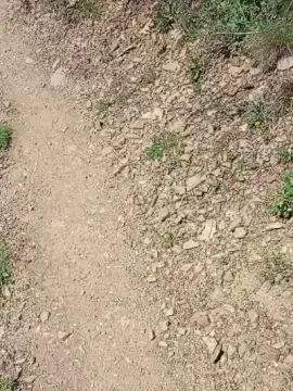 Cam4 Free Live Porn of sikici20