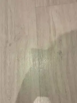 Cam4 Adult Video Chat of Gutte22