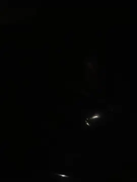 Cam4 Best live sex cam show of Nachovidal1985