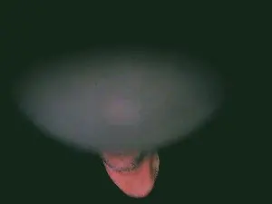 Cam4 Live Sex of tuga240982