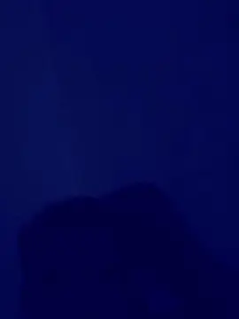 Cam4 Best Webcam of Negleo29