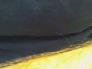 Cam4 Best Webcam of oralfan1962