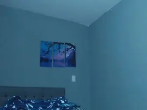 Cam4 Best Webcam of Lothbrok_strong