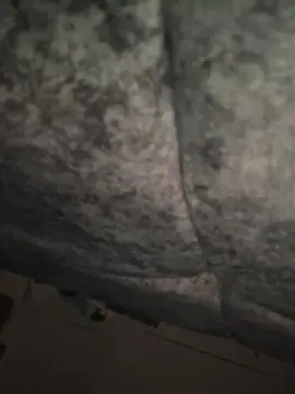 Cam4 Adult Webcams of KYLIE_PREGNAT