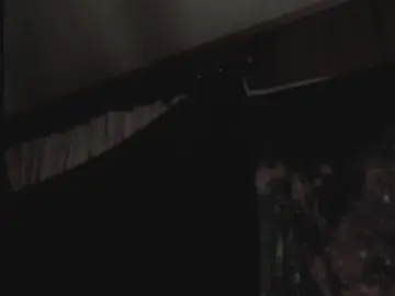 Cam4 Best Webcam of dcdomo