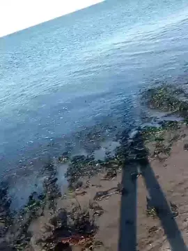 Cam4 Sex Cam of Chasconely