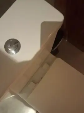 Cam4 Adult Webcams of Comedorhard_gp