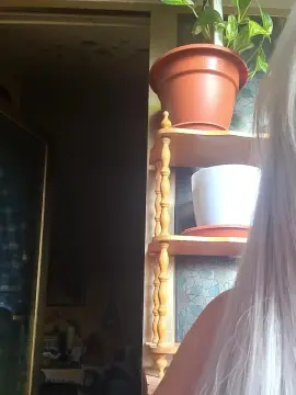 Cam4 Adult Webcam of esteladelcarme5