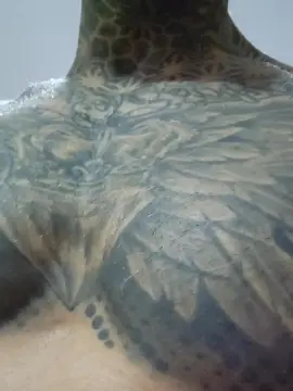 Cam4 Sex Chat of Nicolas_1988