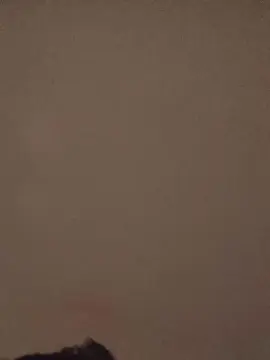 Cam4 Free Live Porn of jocimorenissi