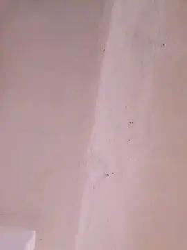 Cam4 Live Porn of RiBelliPorcelli