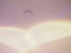 Cam4 Best live sex cam show of axel_appolo