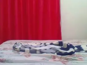 Cam4 Free Live Porn of Sexyy_candyy