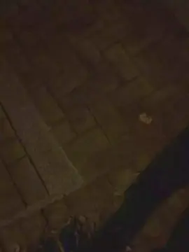 Cam4 Live Porn of w8181w