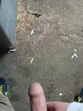 Cam4 Live Porn of Roccoduro29