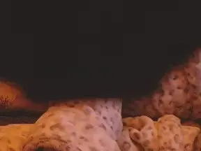 Cam4 Nude Webcam of NoraNoir