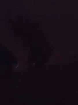 Cam4 Adult Webcams of Paquete19