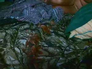Cam4 Sex Cam of ashlygold
