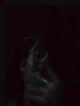 Cam4 Free Porn Cam of fabio2679