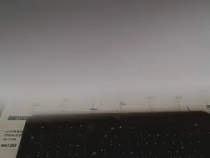 Cam4 Free Live Porn of louisvi