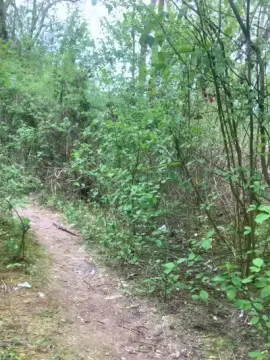 Cam4 Adult Video Chat of Joueurh