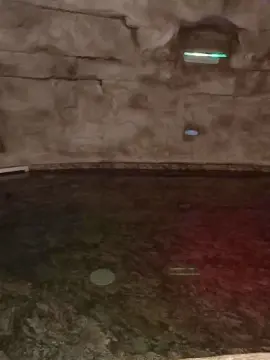 Cam4 Sex Chat of BabySaraBettoni