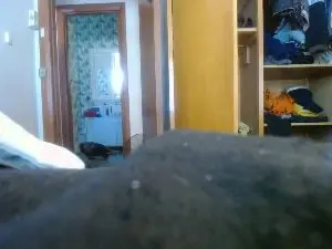 Cam4 Sex Chat of 1eyejake