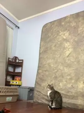 Cam4 Live Sex Cam of TopTierDrippa