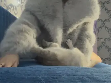 Cam4 Free Live Porn of KattieAlviar