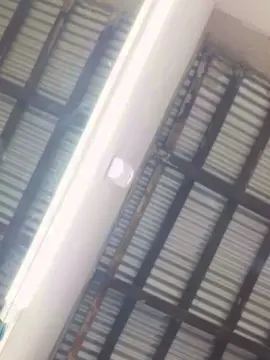 Cam4 Live Porn of Macho9397