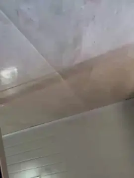 Cam4 Adult Video Chat of Paugg21a