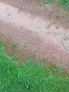 Cam4 Best live sex cam show of Top_man