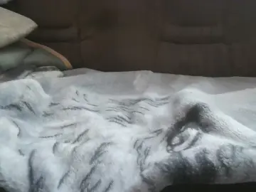 Cam4 Live Sex of dock2303