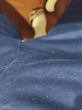 Cam4 Sex Cam of goianocareca