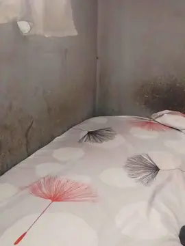 Cam4 Best live sex cam show of ccarla76w