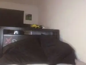 Cam4 Free Porn Cam of MasterJakeJohns