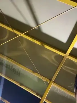 Cam4 Best Webcam of Outdoorsd