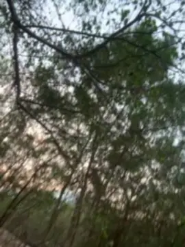 Cam4 Sex Chat of Outdoorsd