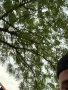 Cam4 Best Webcam of Outdoorsd