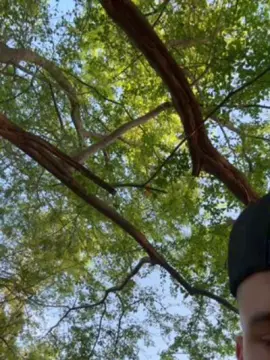 Cam4 Sex Chat of Outdoorsd