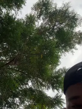 Cam4 Sex Cam of Outdoorsd