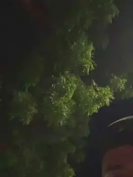 Cam4 Live Sex of Outdoorsd