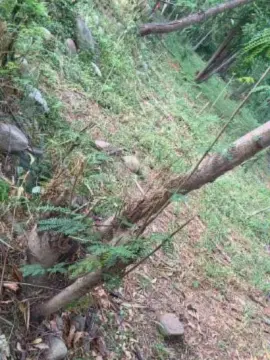 Cam4 Live Porn of Outdoorsd