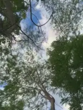 Cam4 Best Webcam of Outdoorsd