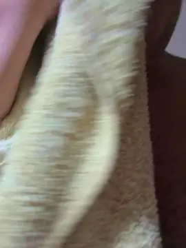 Cam4 Best Webcam of Soydeescobar