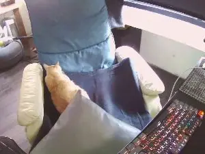 Cam4 Sex Cam of zeenfan