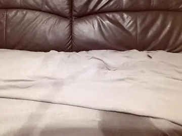 Cam4 Best Webcam of Dicker19x6cm