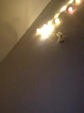 Cam4 Adult Webcams of LadyCherry29