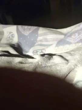 Cam4 Best Webcam of Lupo13579