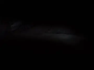 Cam4 Sex Chat of maturo32